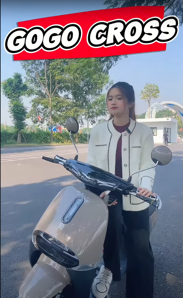 Xe Máy Điện Dibao Gogo Cross Hiện Đại Thời Trang