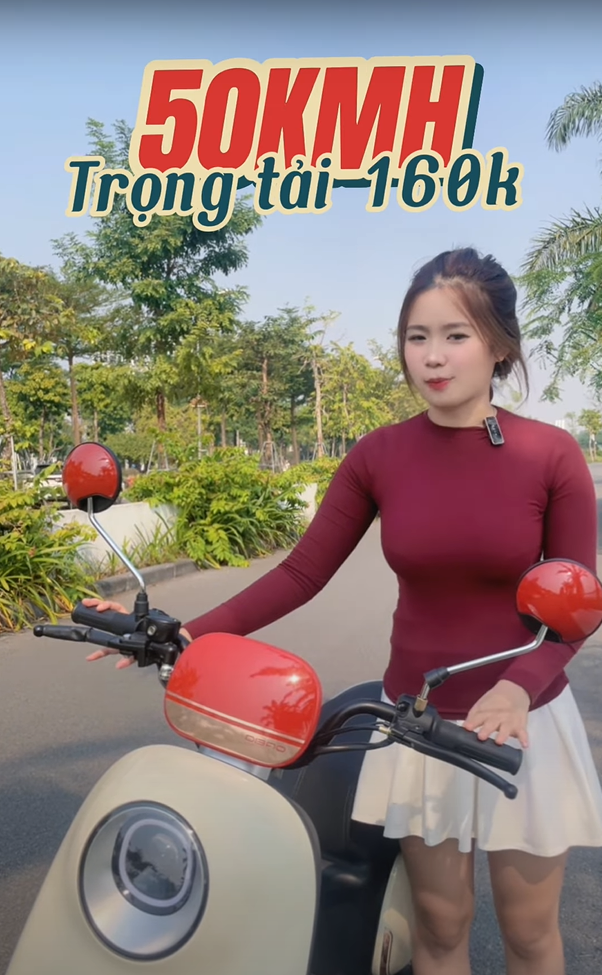 Tính Năng Của Xe Đạp Điện Dibao Rosa