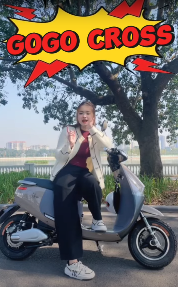 Xe Điện Dibao Gogo Cross Mạnh Mẽ Hiện Đại