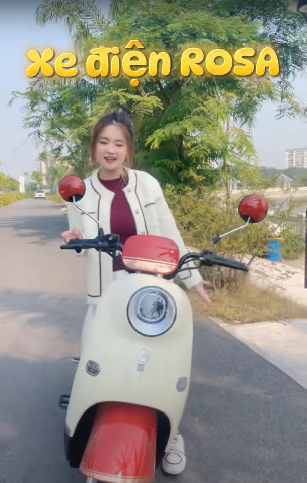 Siêu Phẩm Xe Đạp Điện Mới Của Nhà Dibao - ROSA