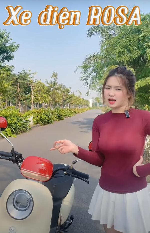 Xe Đạp Điện Dibao Rosa Đa Dạng Sắc Màu