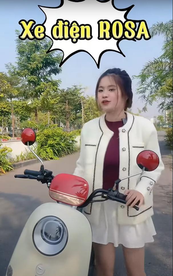 Xe Đạp Điện Dibao Rosa Đẹp Đến Mê Mẩn