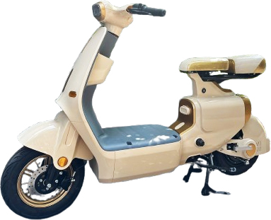 Xe Đạp Điện Dylexe VC K1 2025 Phanh Đĩa Số Lùi