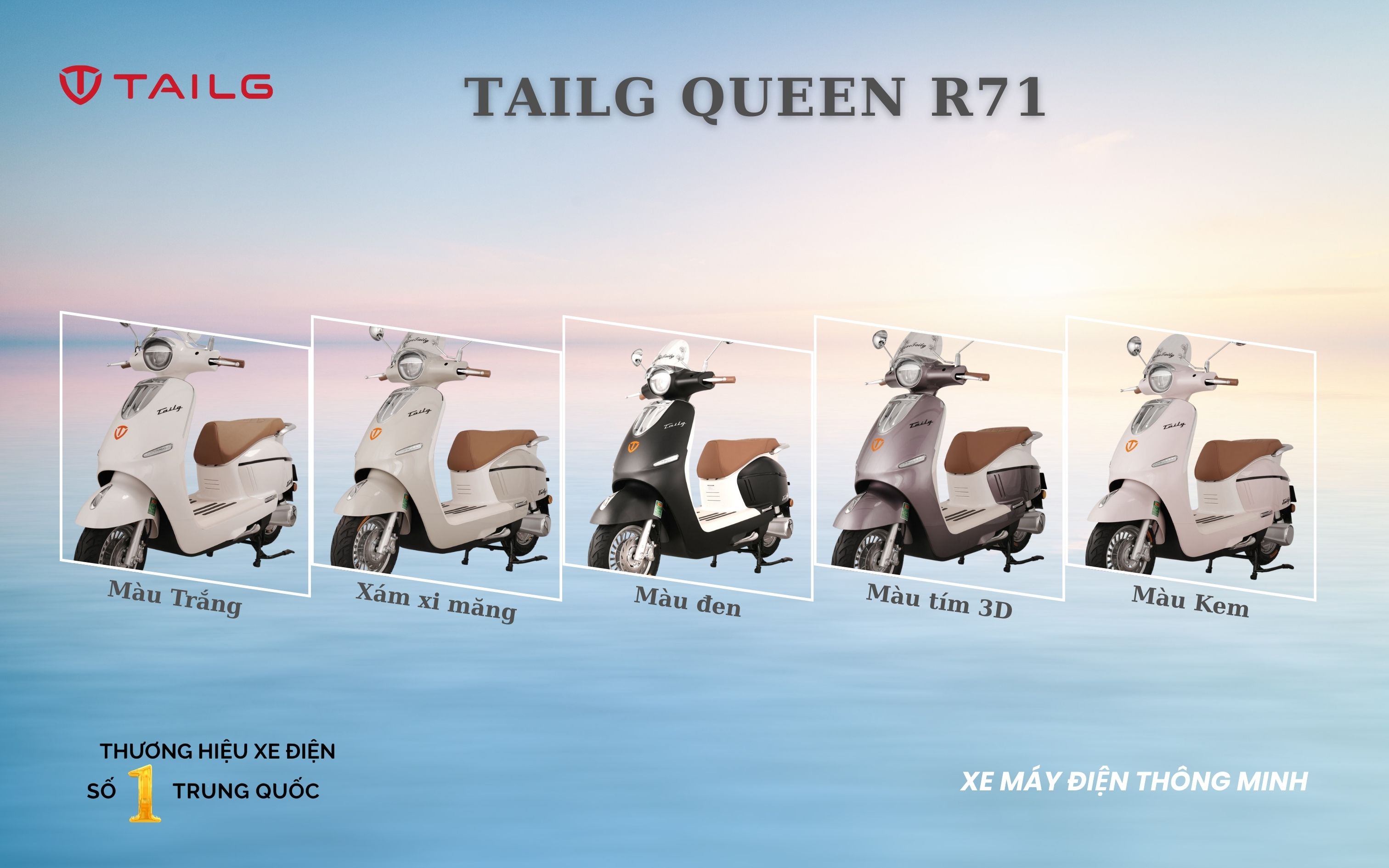 TAILG QUEEN R71