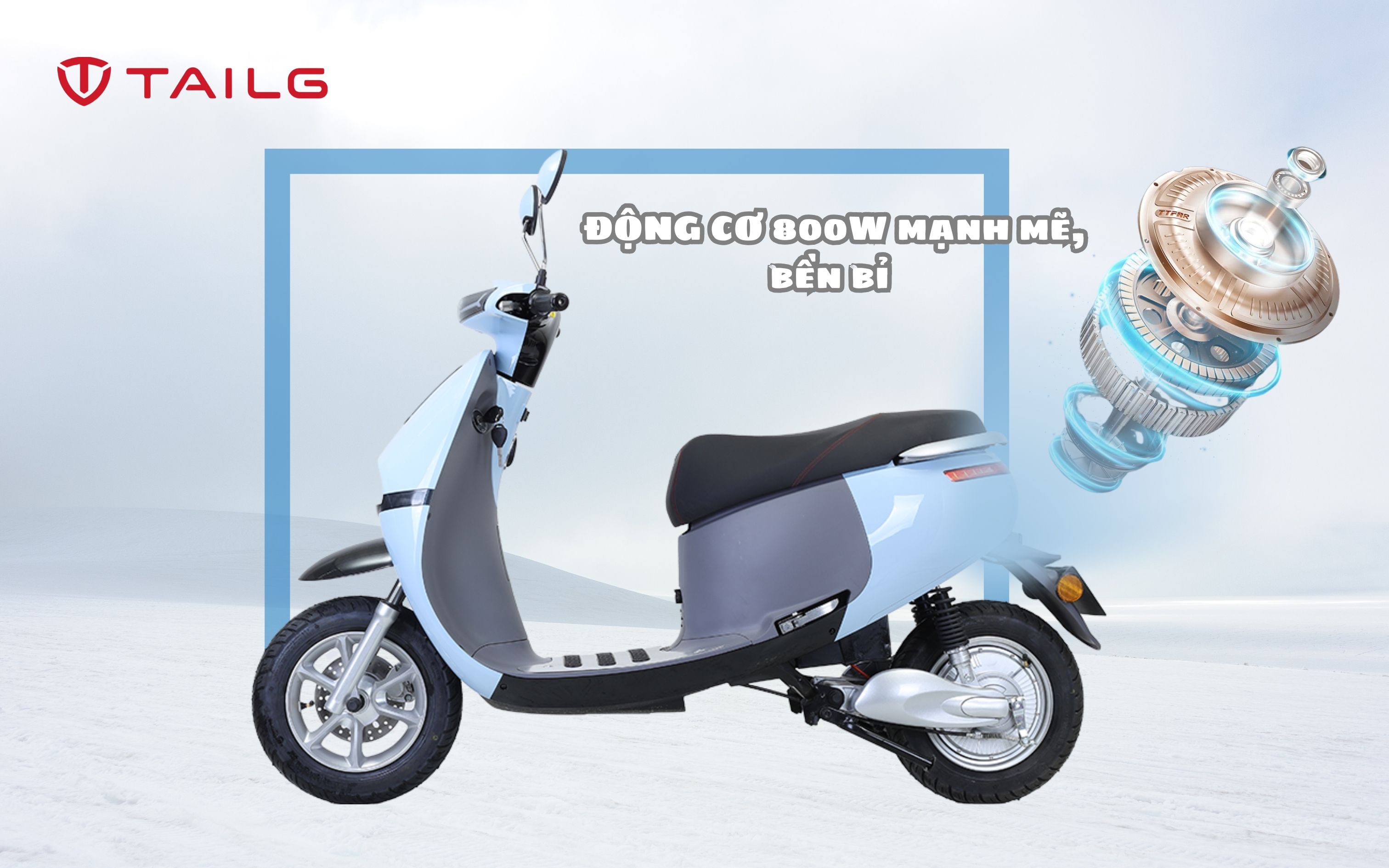 TAILG GOGO R31