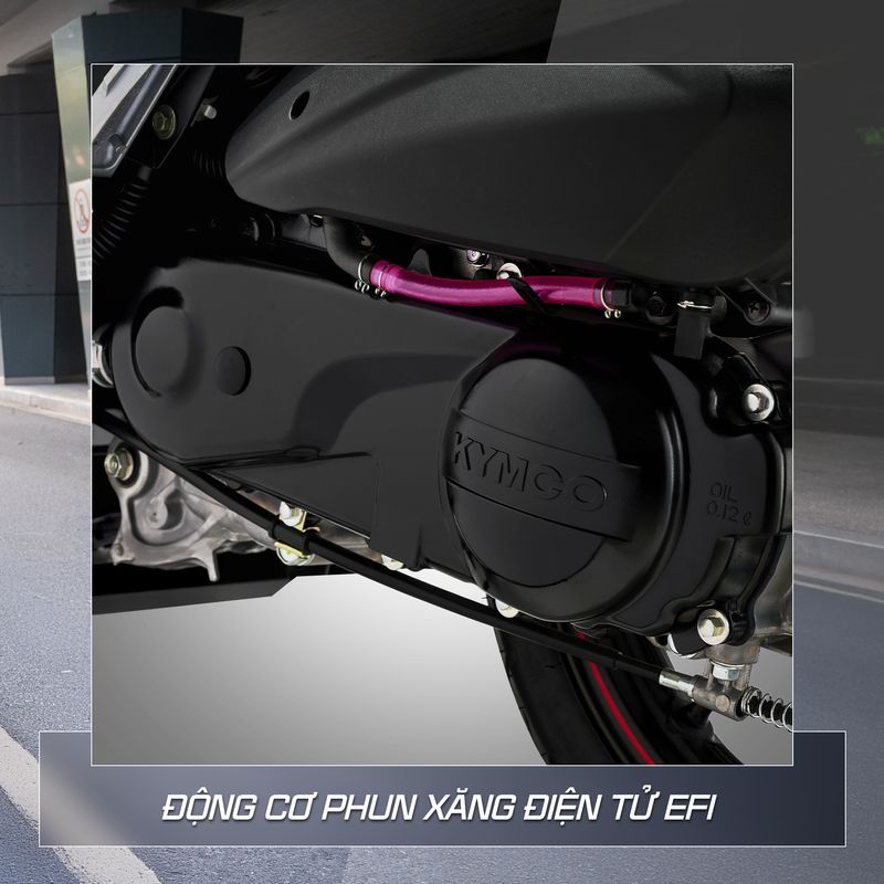kymco-candy-hermosa-fi