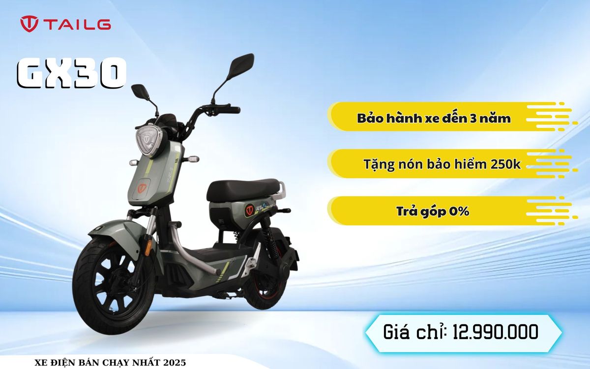 TAILG GX30 XBULL