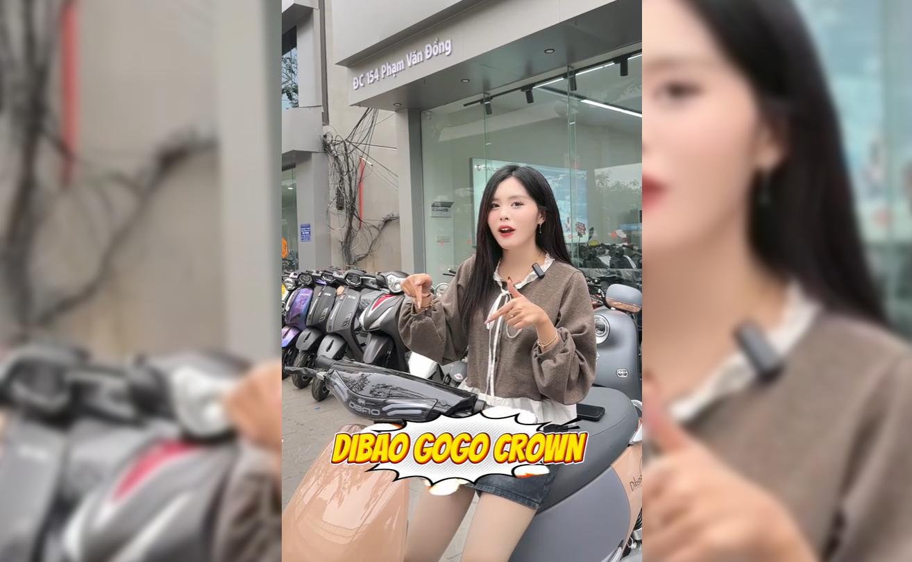 Dibao Gogo Crown Đỉnh Cao Phong Cách Vận Hành Mạnh Mẽ