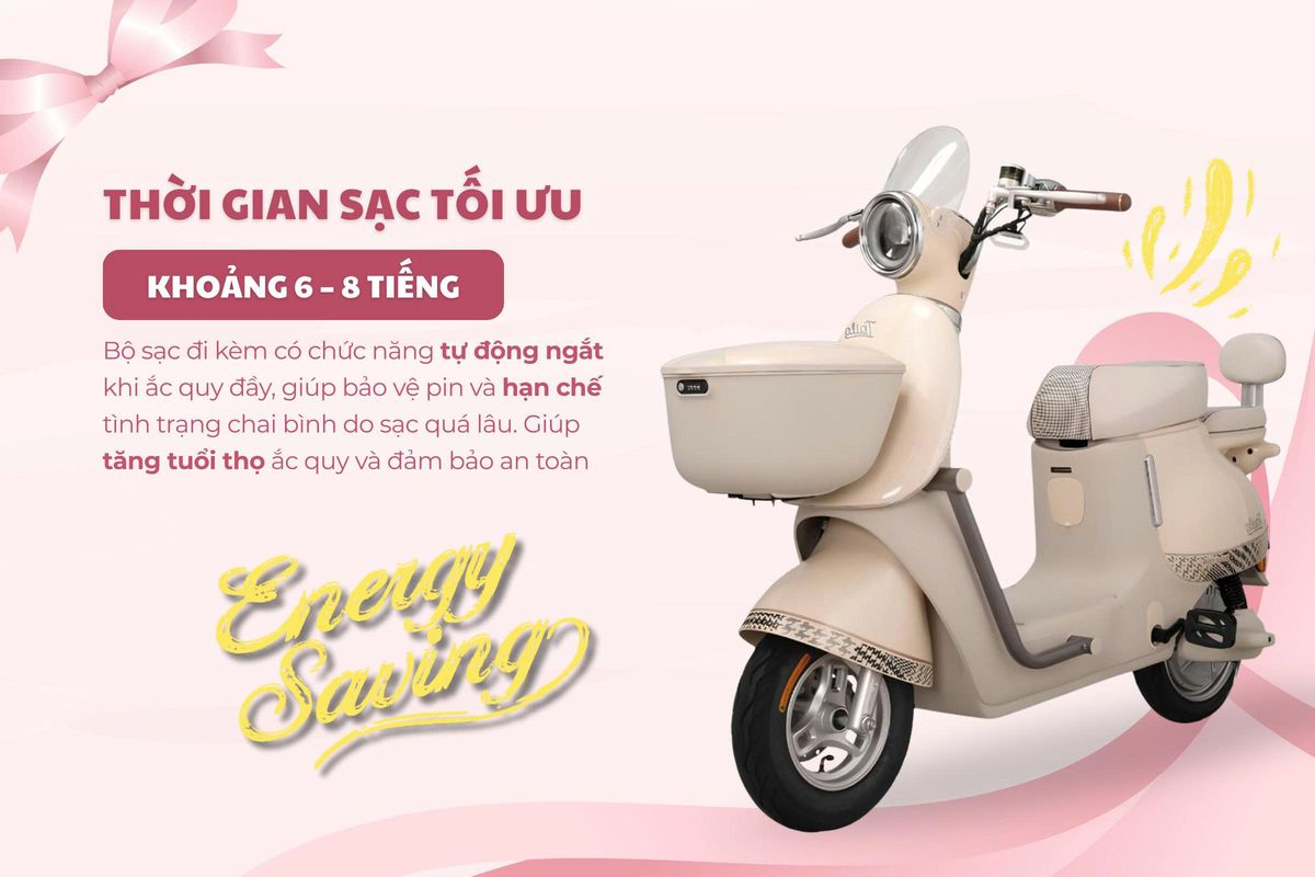 Xe đạp điện Tailg GR54 - Thế Giới Xe Điện