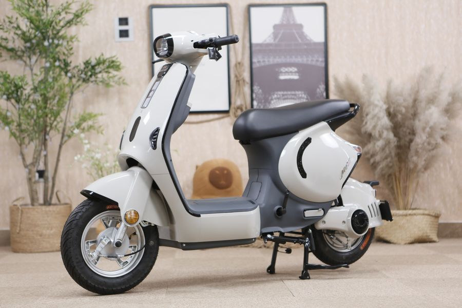 Xe Đạp Điện Dibao M1P 240W