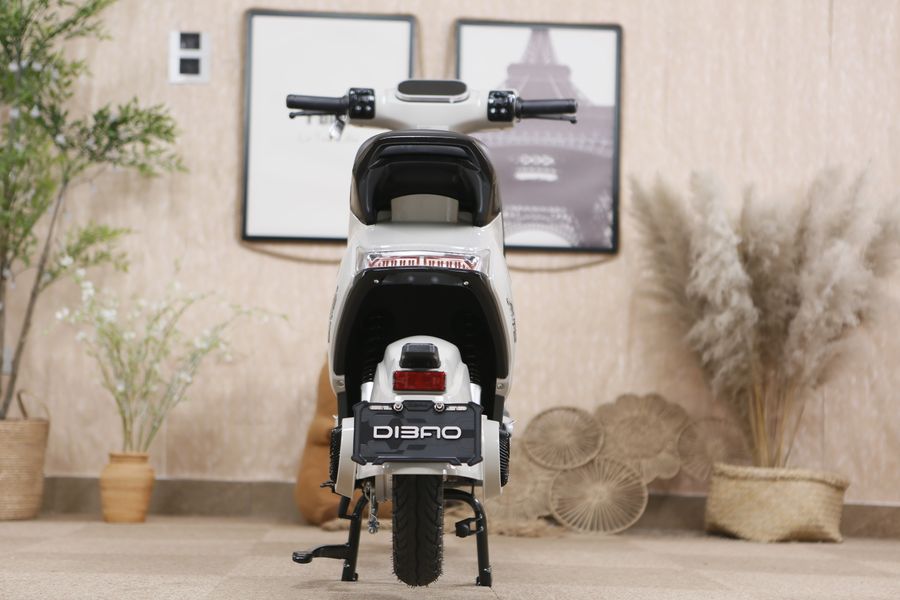 Xe Đạp Điện Dibao M1P 240W