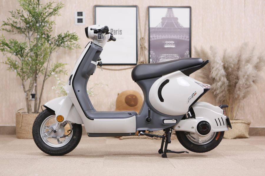 Xe Đạp Điện Dibao M1P 240W