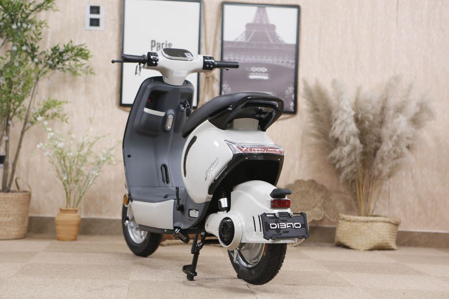 Xe Đạp Điện Dibao M1P 240W