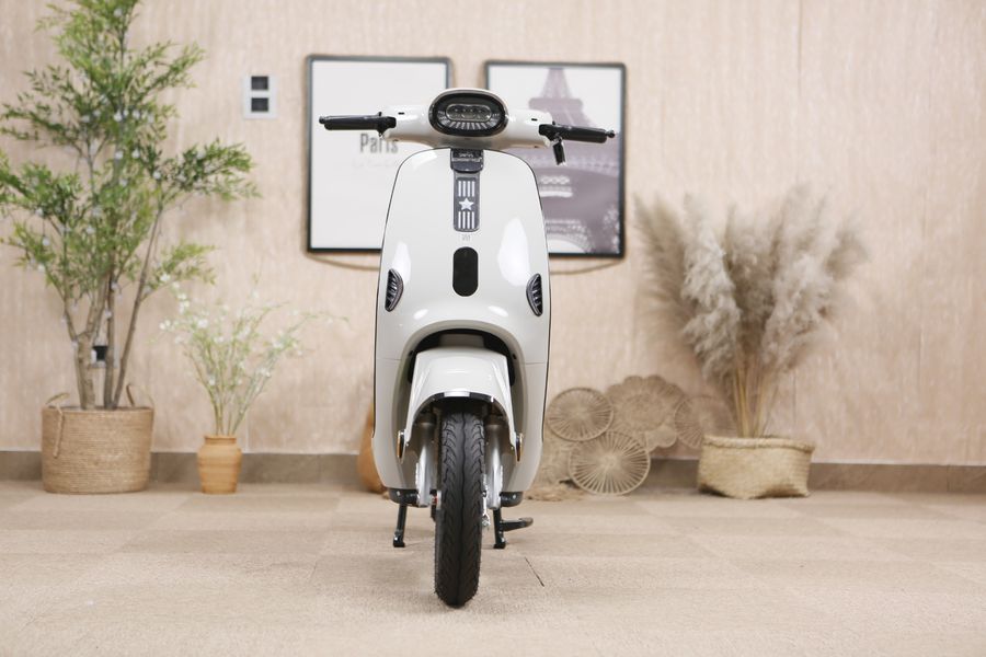 Xe Đạp Điện Dibao M1P 240W