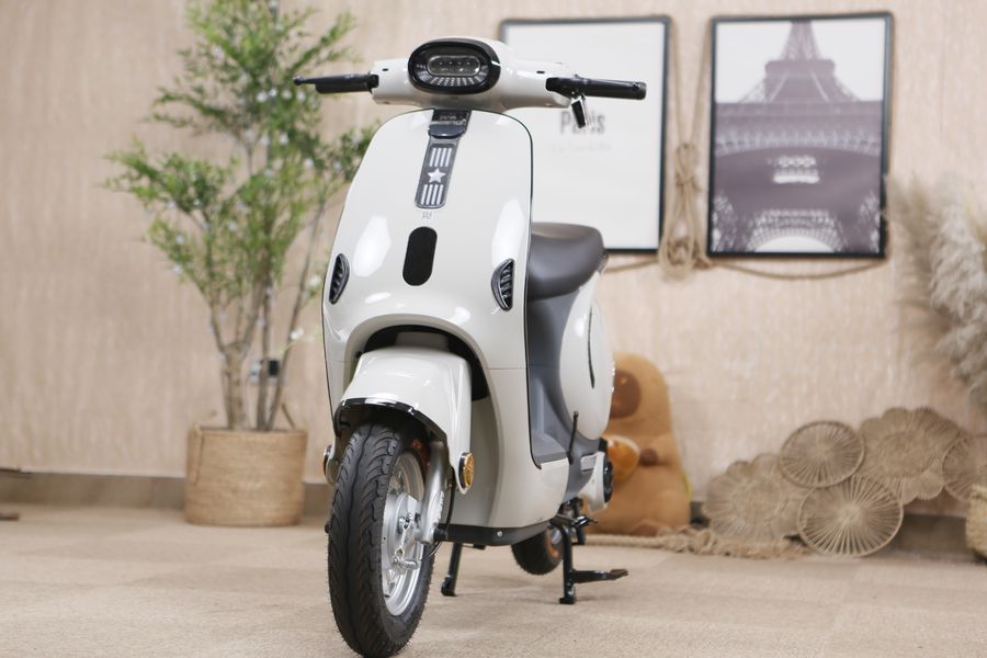 Xe Đạp Điện Dibao M1P 240W