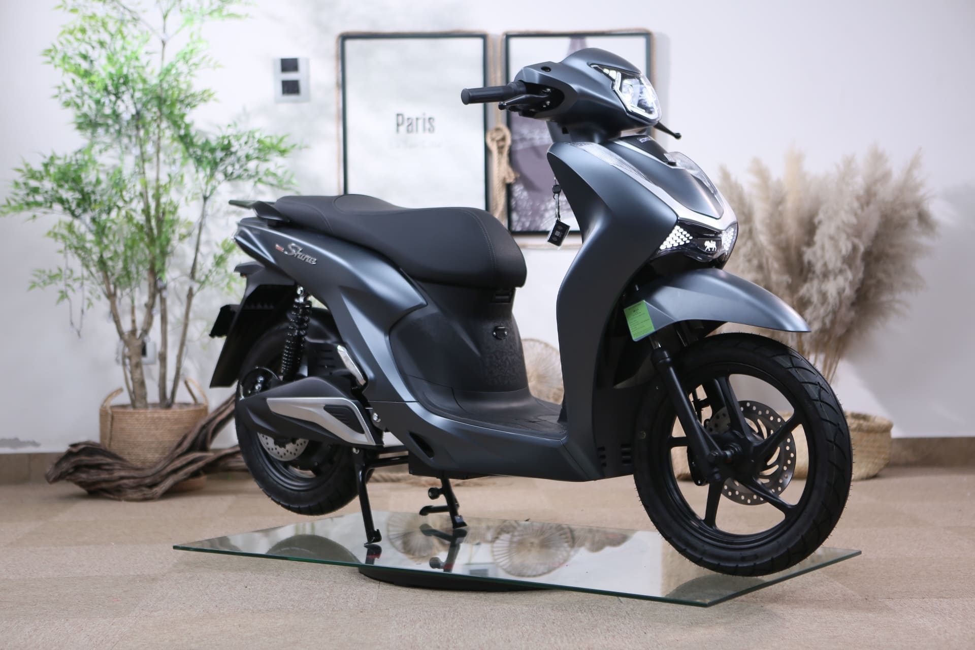 Xe Máy Điện Dibao Shine