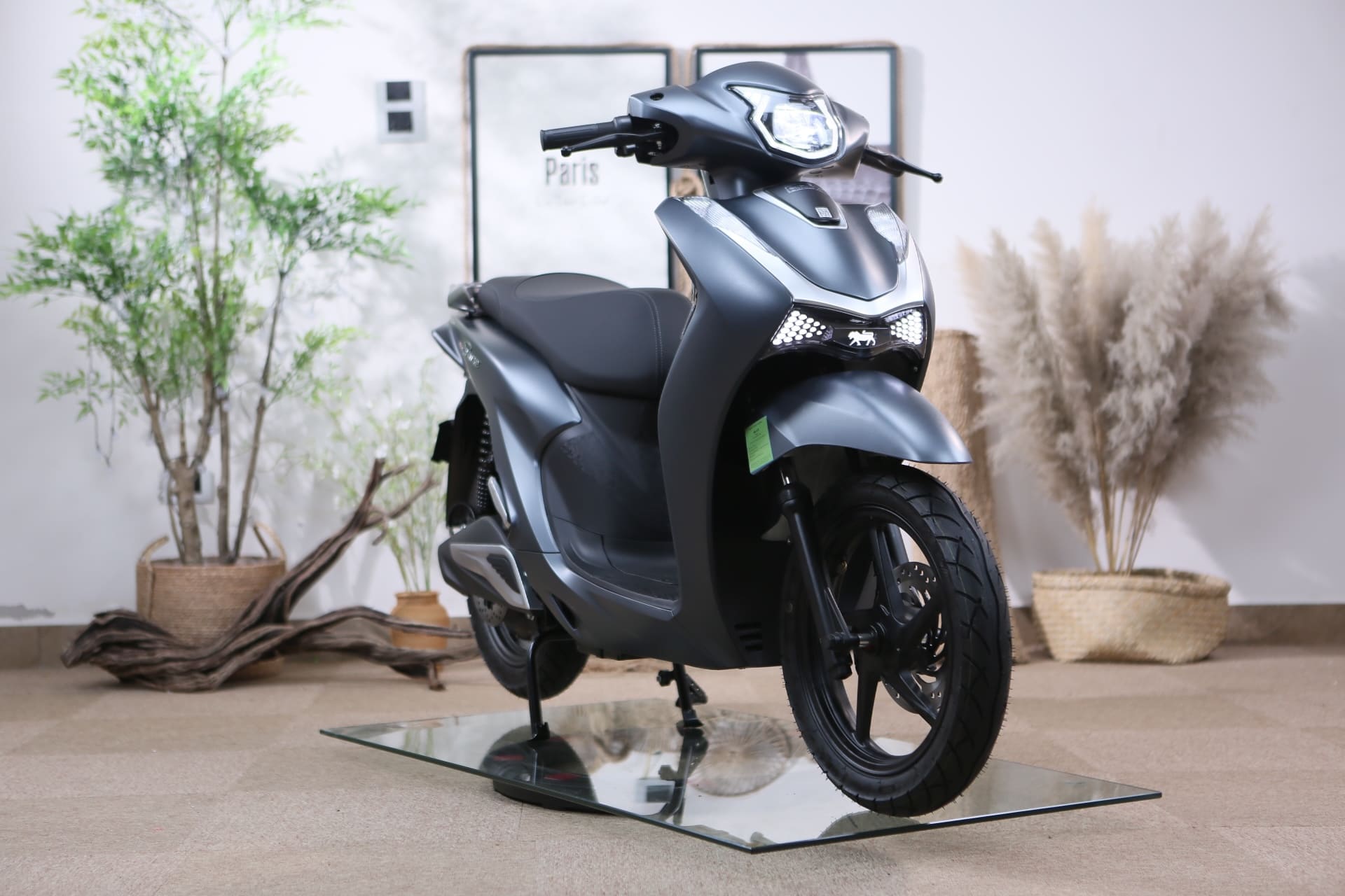 Xe Máy Điện Dibao Shine