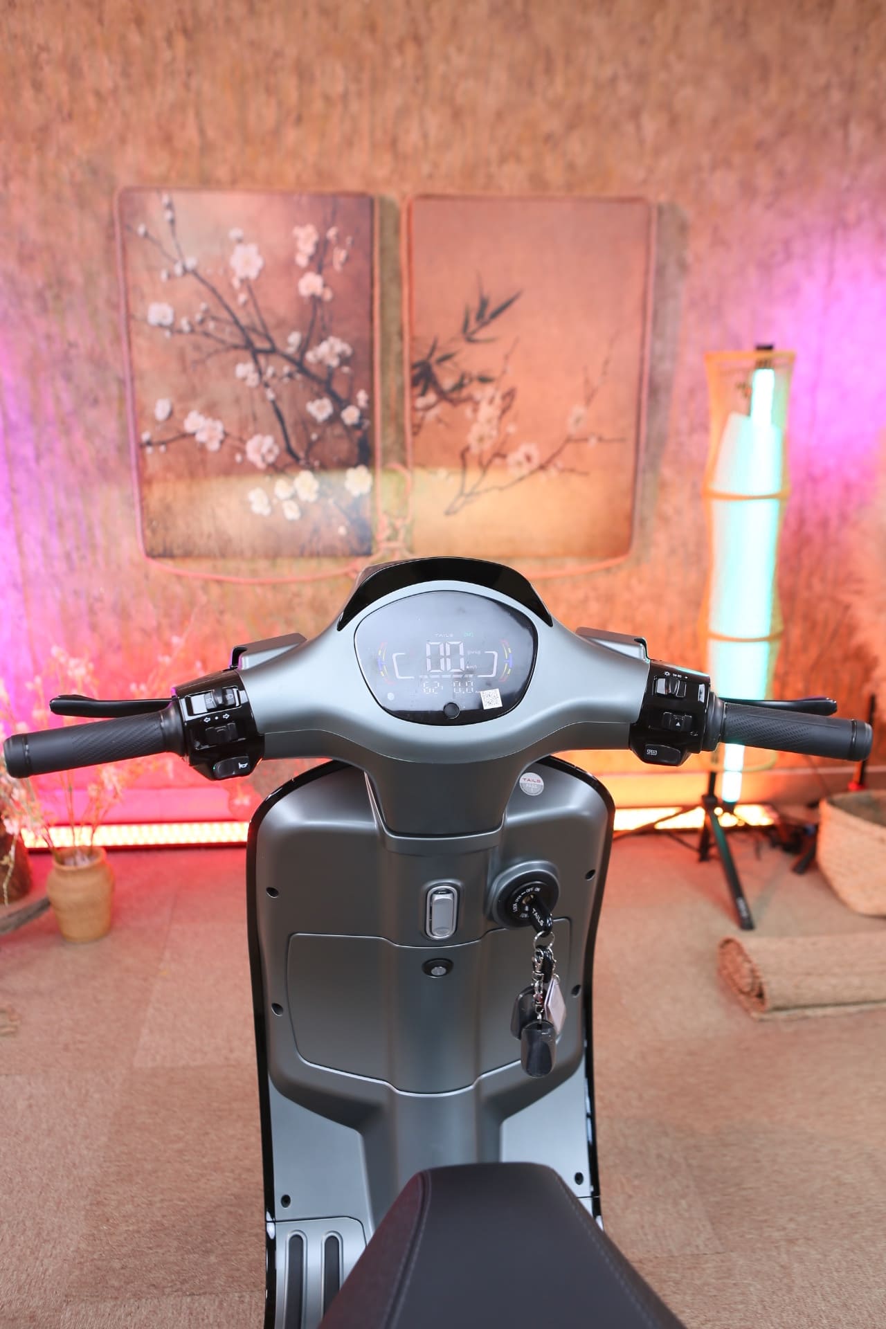 Xe Máy Điện Tailg R51 Plus 2026