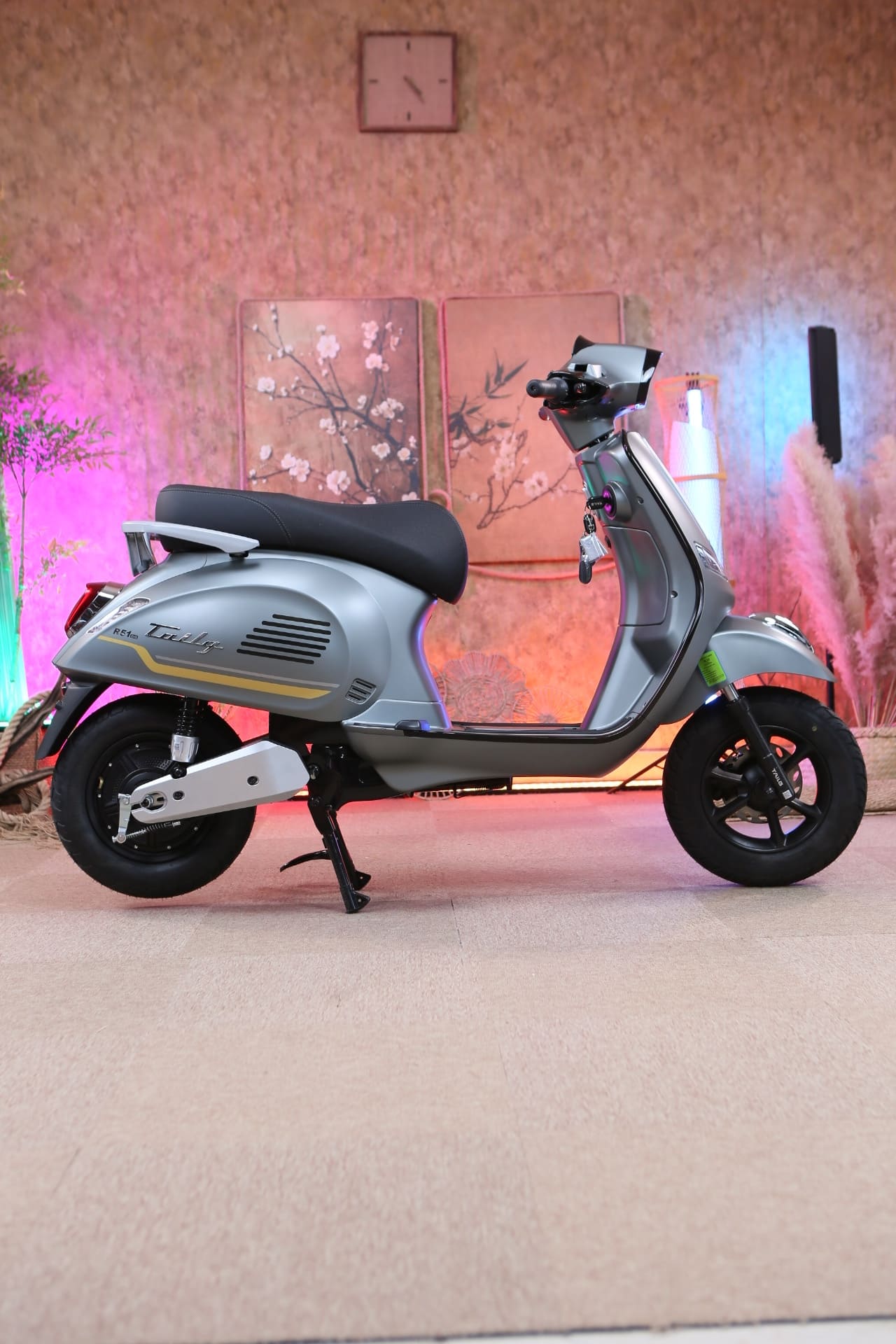 Xe Máy Điện Tailg R51 Plus 2026