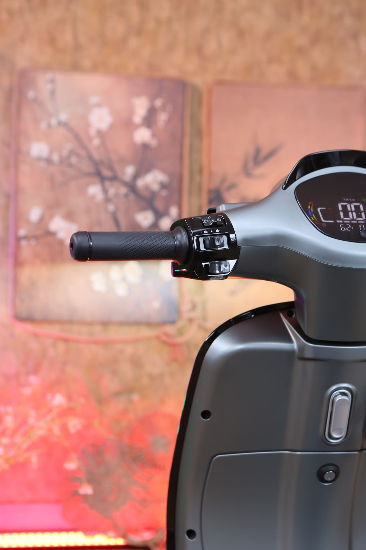 Xe Máy Điện Tailg R51 Plus 2026