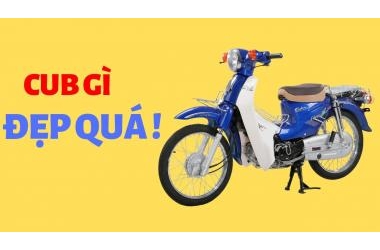 Xe Cub Cổ Điển Dành Cho Học Sinh - Xe Cub 81 Việt Thái