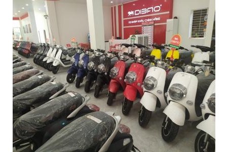 Giới Thiệu Về Hãng Xe Điện Dibao - Hãng Xe Điện Chất Lượng Cao Nổi Tiếng Hàng Đầu Việt Nam