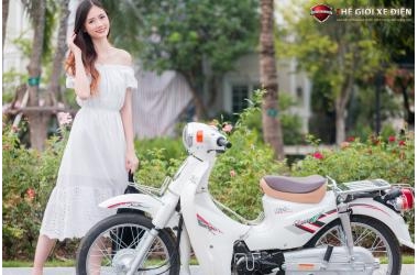 Xe Máy 50cc Cub 81 Việt Thái Thịnh Hành, Chất Lượng Cao