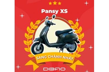 Thị Trường Xe Máy 50cc Năm 2023 Trở Nên Nhộn Nhịp Với Pansy XS Dibao 50cc