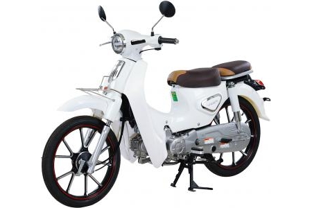 Xe Máy 50cc Cub New Vigor  Ally 50SE Vành Đúc