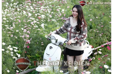 Xe Ga 50cc Giorno Mono Có Thực Sự An Toàn Cho Người Dùng Nhỏ Tuổi?