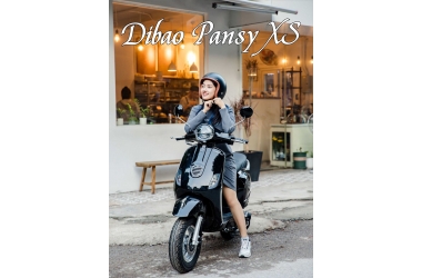 Tổng Hợp 5 Lỗi Thường Gặp Trên Xe Tay Ga 50cc Dibao Và Creer