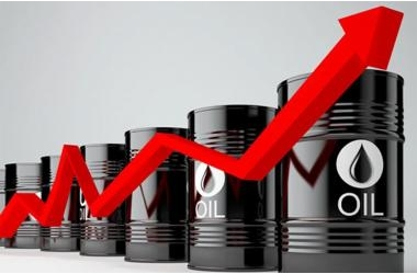 Giá xăng dầu hôm nay (11/11): Tăng lần thứ 4 liên tiếp