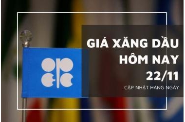 Giá xăng dầu hôm nay(22/11) “giảm” kỷ lục chua từng thấy