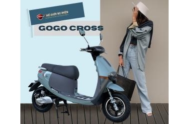 So sánh xe máy điện Ally Autosun A5 và Gogo Cross