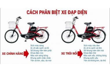 Bật mí 04 cách phân biệt xe đạp điện thật và xe đạp điện giả
