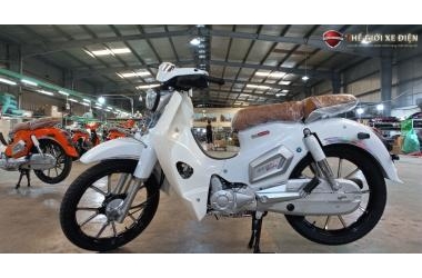Xe Máy 50cc Cub Việt Thái Vành Đúc 2023 có gì mới?