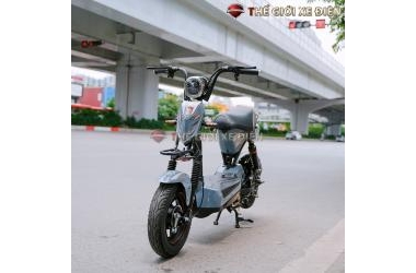 Xe Đạp Điện M133 Tera Motor Việt Nhật chất lượng tốt, giá hợp lý