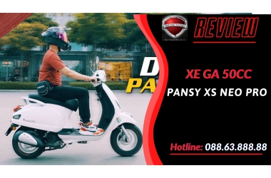 Dibao Pansy XS Neo Pro 50cc Giá 24 triệu - Liệu Có Nên Mua?