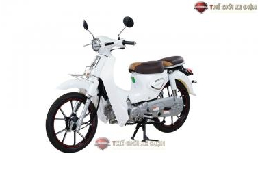 Album Ảnh Xe Máy 50cc Cub New Vigor Ally 50SE Japan MOVT