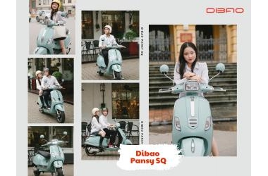Sai lầm thường mắc phải khi sử dụng xe điện nhập khẩu