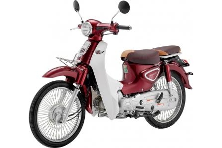 Xe Máy 50cc Cub New Vigor Ally 50SE