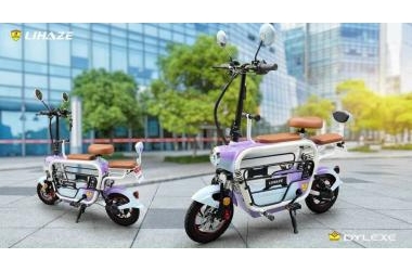 Xe Đạp Điện Gấp Dylexe - Lihaze (Chính Hãng) Có thể lên thang máy