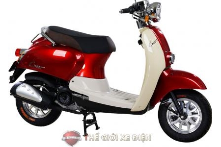 Xe Ga 50cc Dibao Creer Phanh Đĩa Chất Lượng Cao