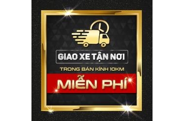 VẬN CHUYỂN MIỄN PHÍ BÁN KÍNH 10KM QUANH ĐẠI LÝ THẾ GIỚI XE ĐIỆN