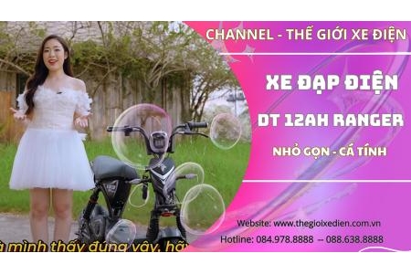 Xe điện DT Bike 12Ah Mẫu Bò Nhỏ Quốc Dân Cho Học Sinh