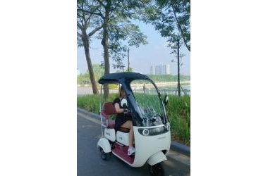 Xe Điện 3 Bánh Santong Có Mái Che Cực Kỳ Hiện Đại