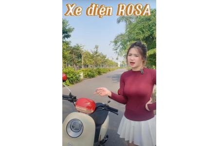 Xe Đạp Điện Dibao Rosa Đa Dạng Sắc Màu