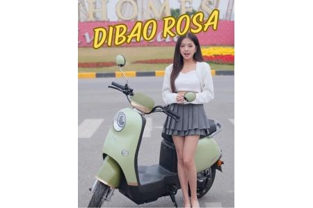 Xe Đạp Điện Dibao Rosa Thế Hệ Mới - Phong Cách Tiện Lợi