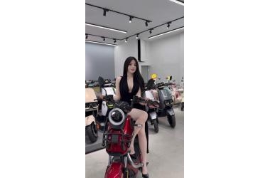 Xe Đạp Điện TAILG Discovery X51 - Vận Hành Êm Ruuuu