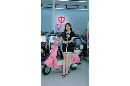 CẬP NHẬT BẢNG GIÁ XE ĐẠP ĐIỆN TAILG MỚI NHẤT 2025